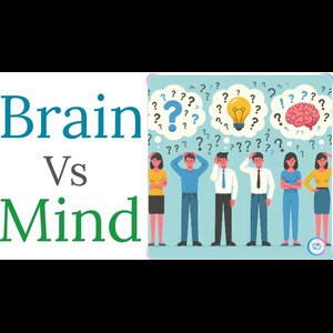 Brain and Mind